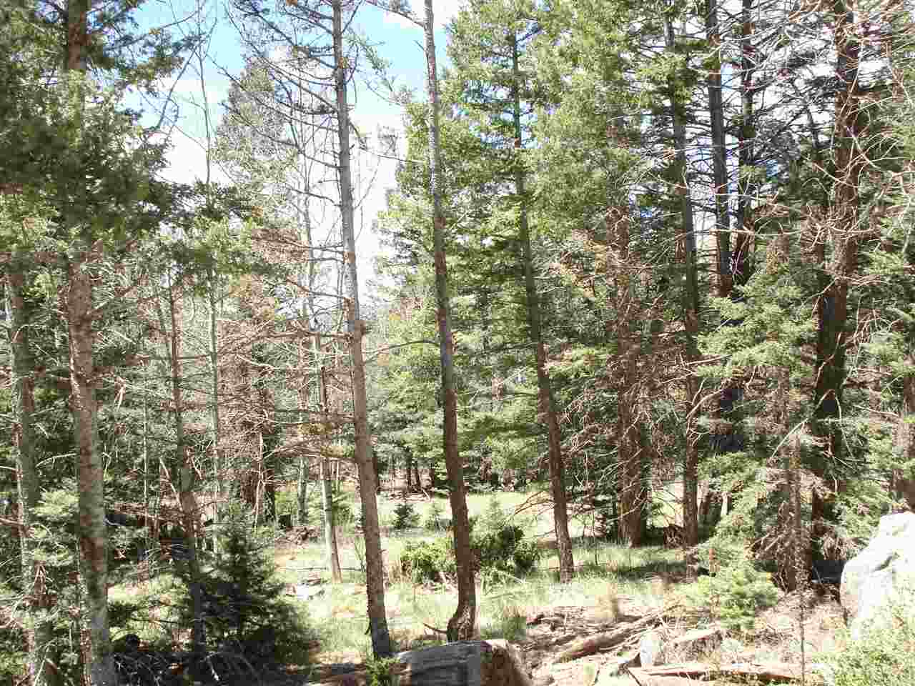 Lot 1139 Panorama Way N., Angel Fire, NM 87710