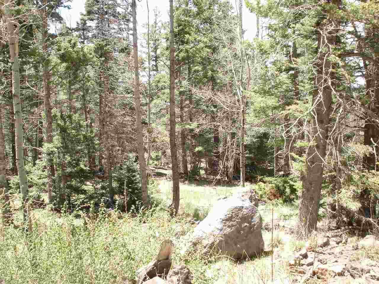 Lot 1139 Panorama Way N., Angel Fire, NM 87710