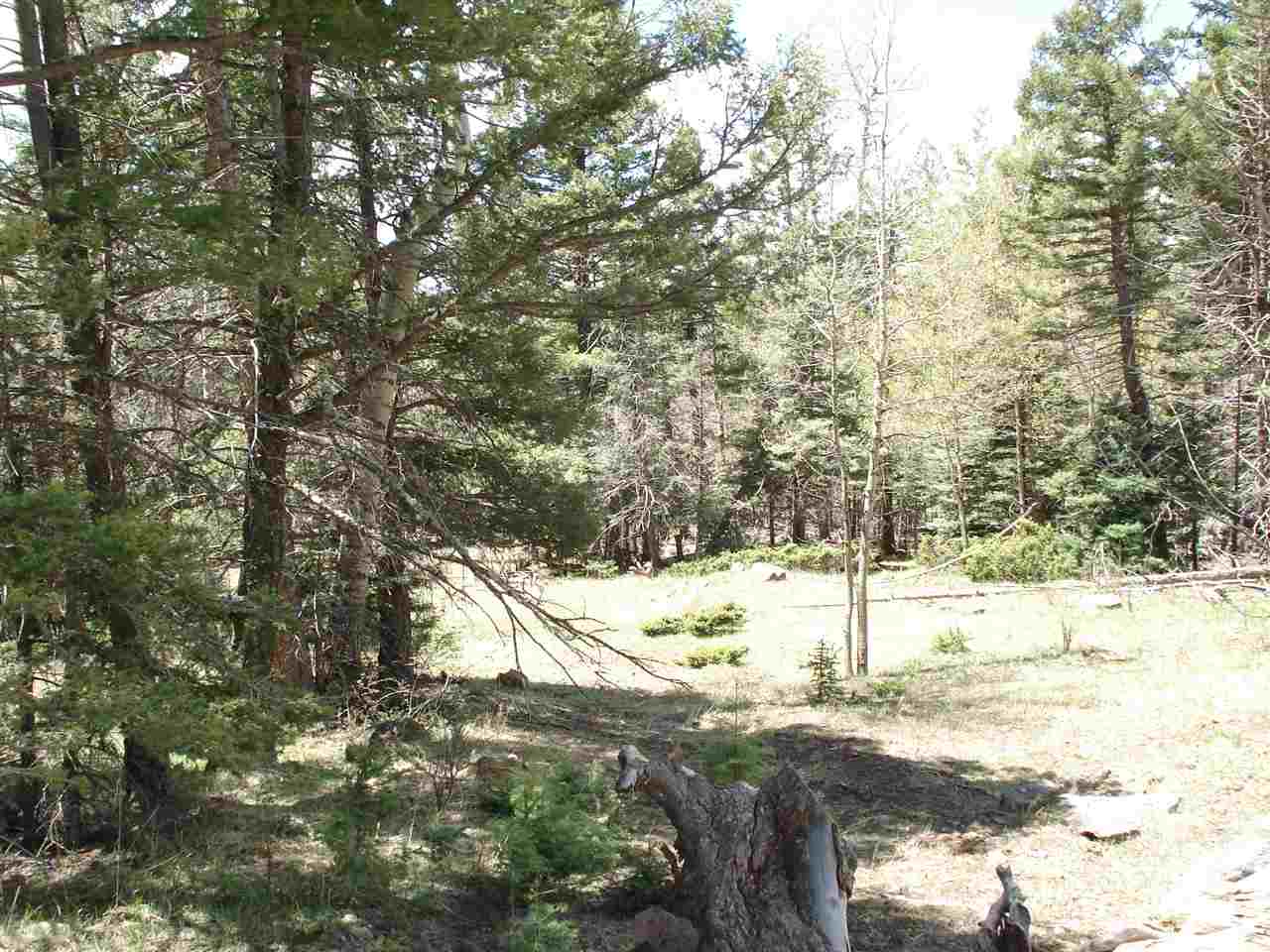 Lot 1139 Panorama Way N., Angel Fire, NM 87710