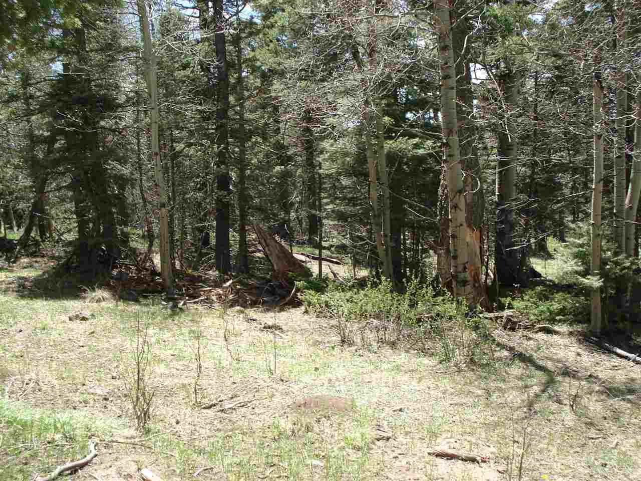 Lot 1139 Panorama Way N., Angel Fire, NM 87710