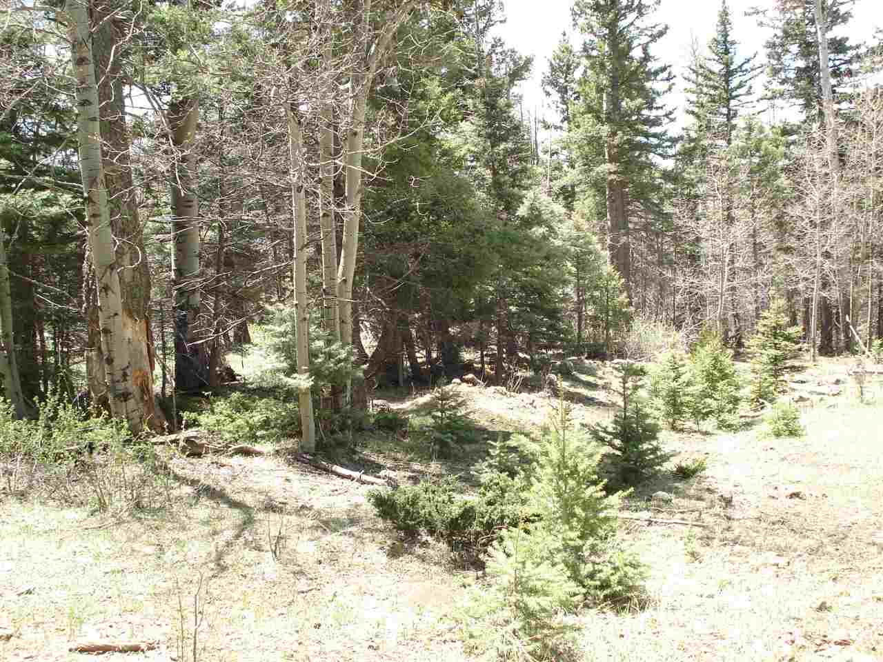Lot 1139 Panorama Way N., Angel Fire, NM 87710