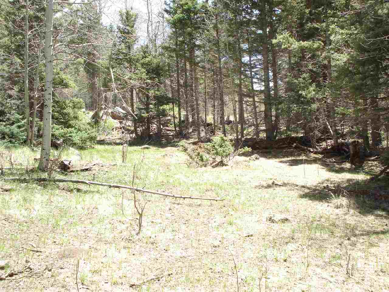 Lot 1139 Panorama Way N., Angel Fire, NM 87710
