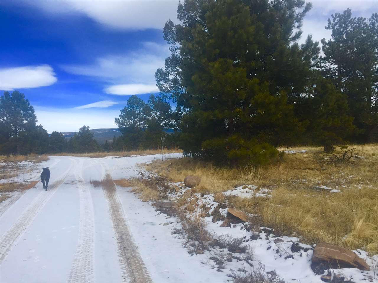 Black Lake Resort II, Angel Fire, NM 87710