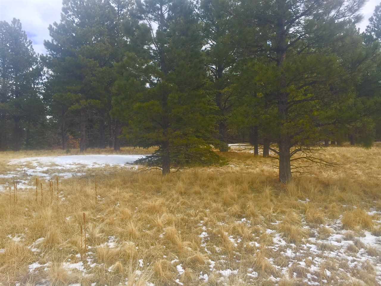 Black Lake Resort II, Angel Fire, NM 87710