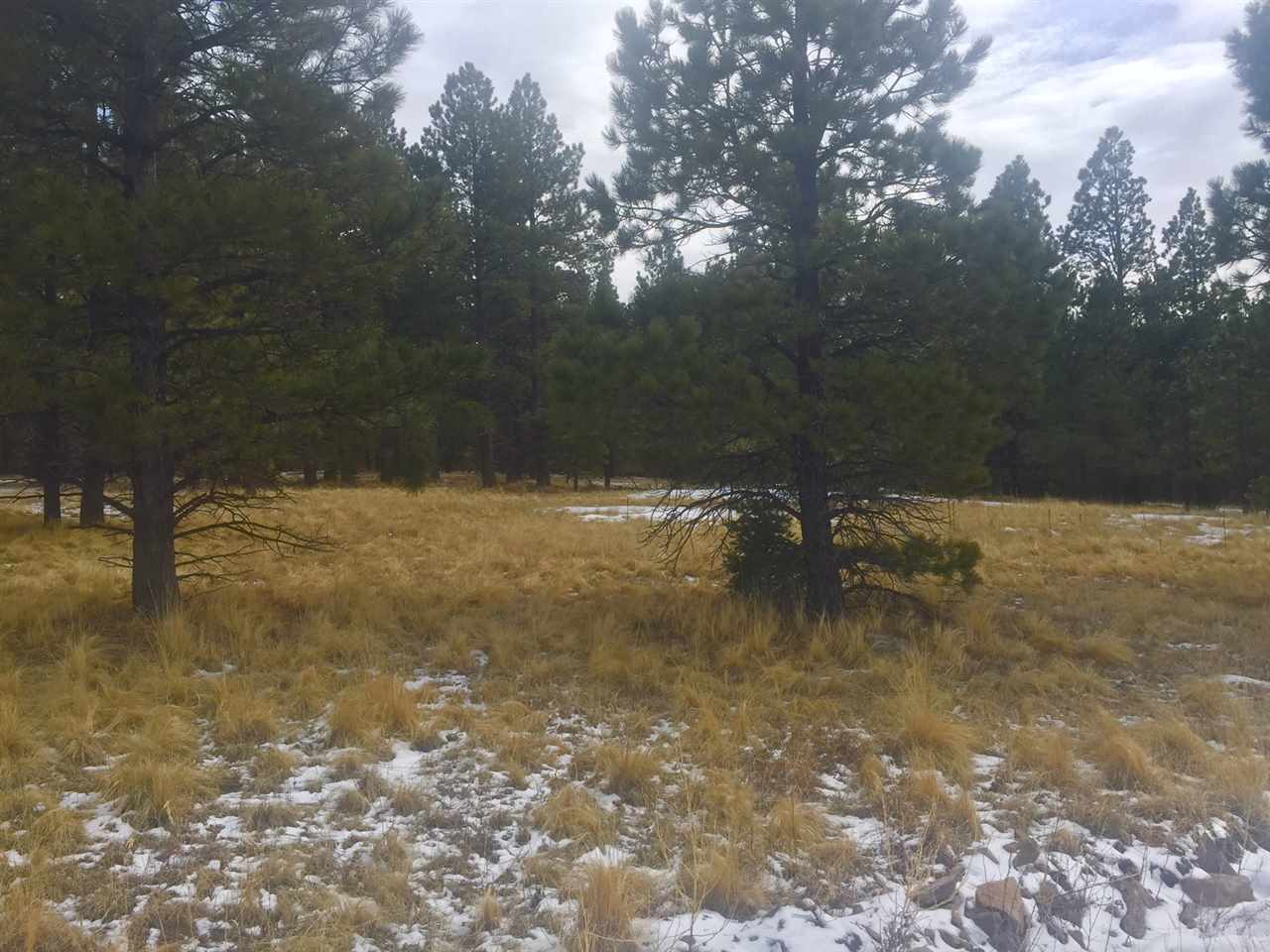 Black Lake Resort II, Angel Fire, NM 87710