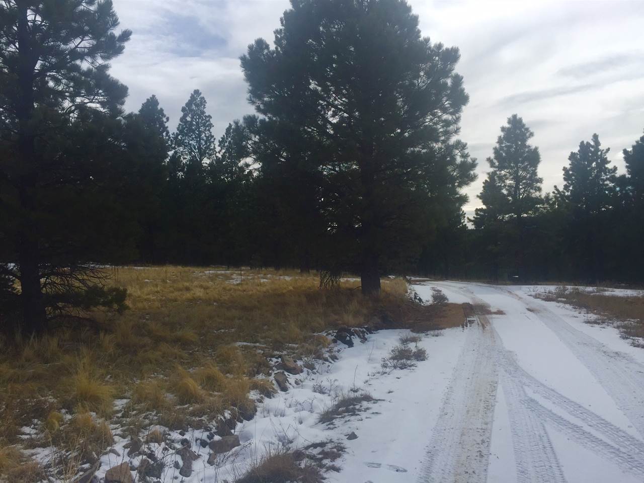 Black Lake Resort II, Angel Fire, NM 87710