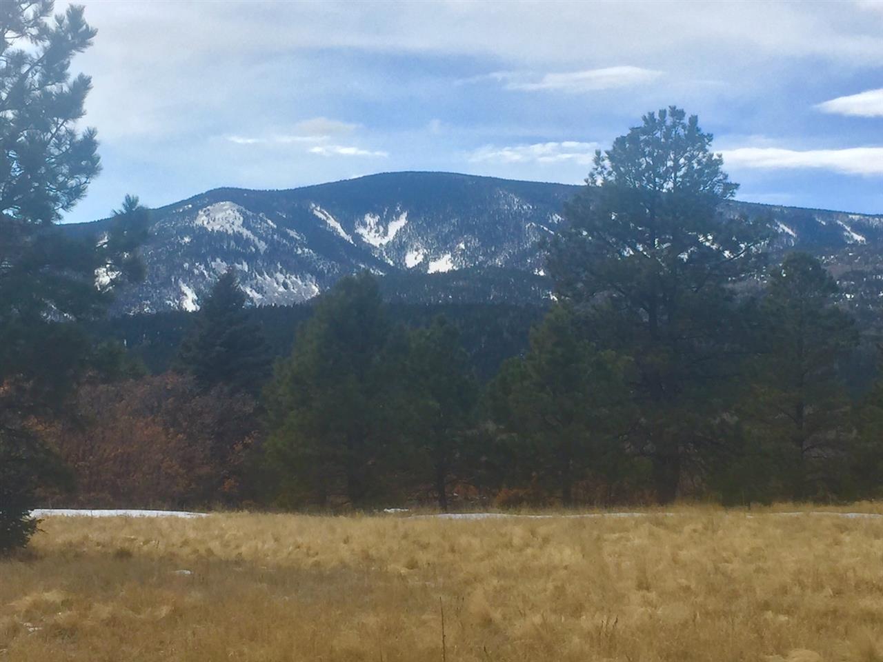 Black Lake Resort II, Angel Fire, NM 87710