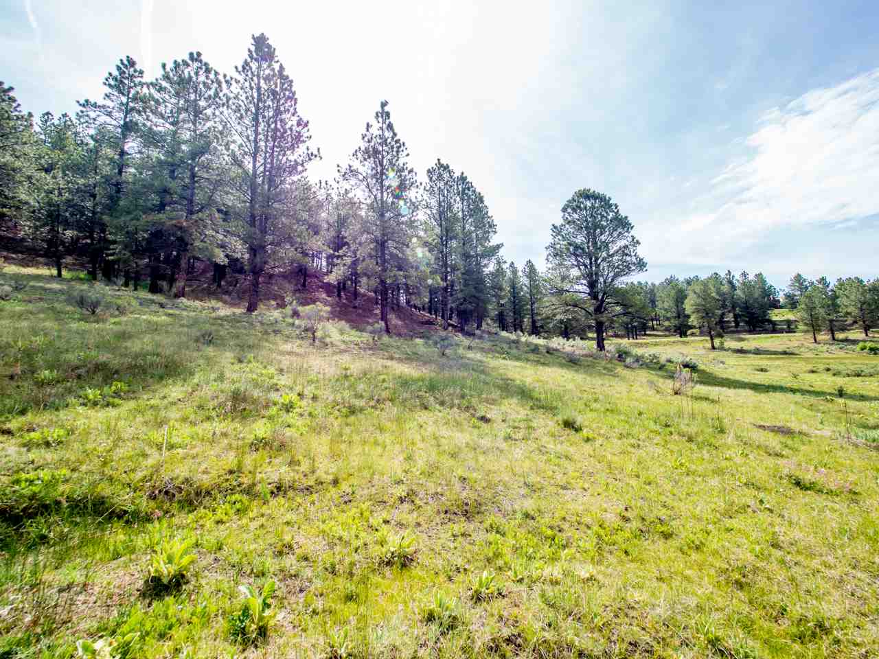 1A Valley Rd., Angel Fire, NM 87710