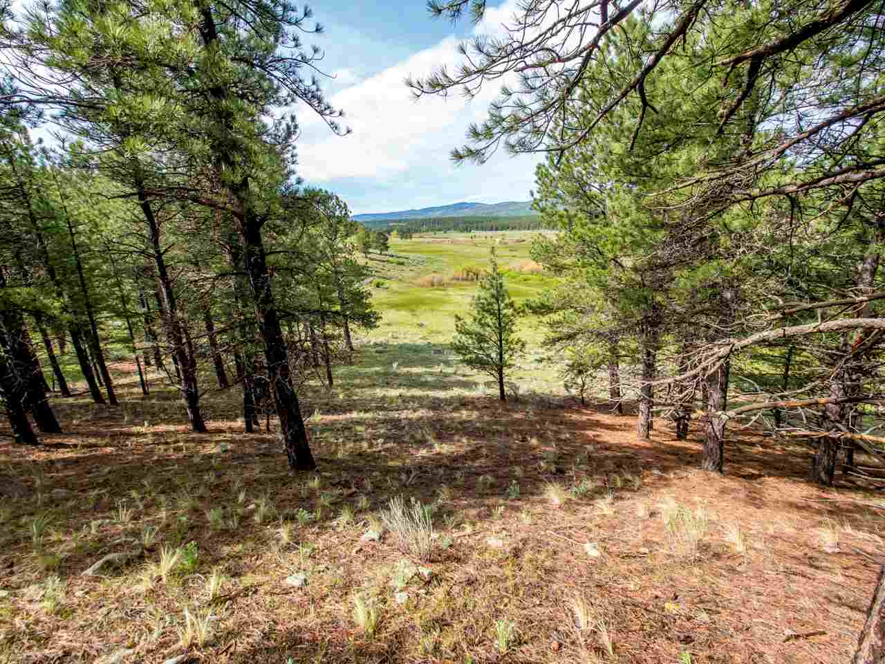 1A Valley Rd., Angel Fire, NM 87710