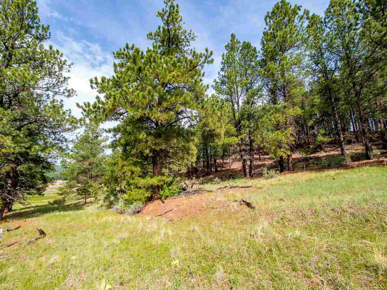 1A Valley Rd., Angel Fire, NM 87710