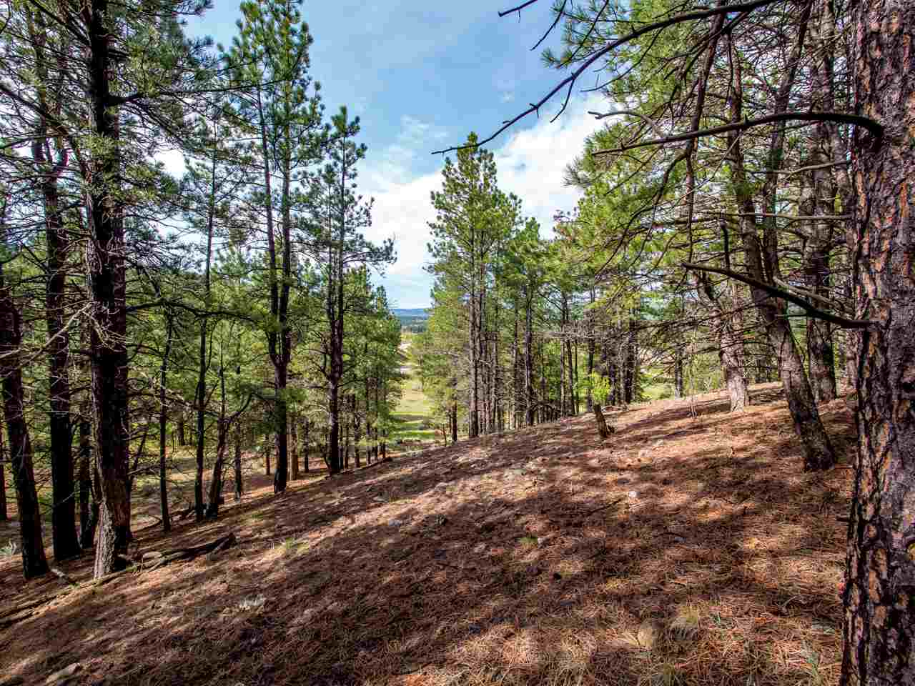 1A Valley Rd., Angel Fire, NM 87710