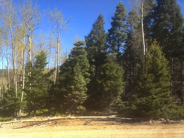 61 Dancing Bear, Angel Fire, NM 87710