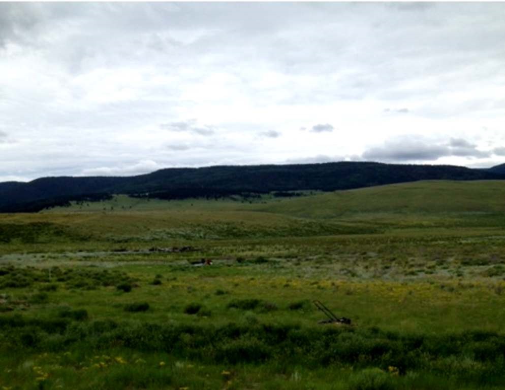 Lot 2,3,4,6,7&amp;8 Chamisa Estates, Angel Fire, NM 87710