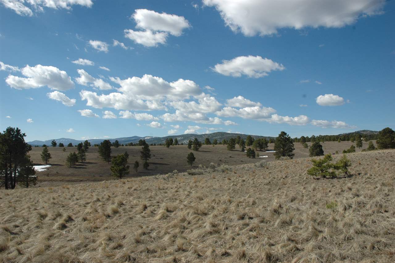 Lots 3-9,Blk9 ValVerdeV, Angel Fire, NM 87710
