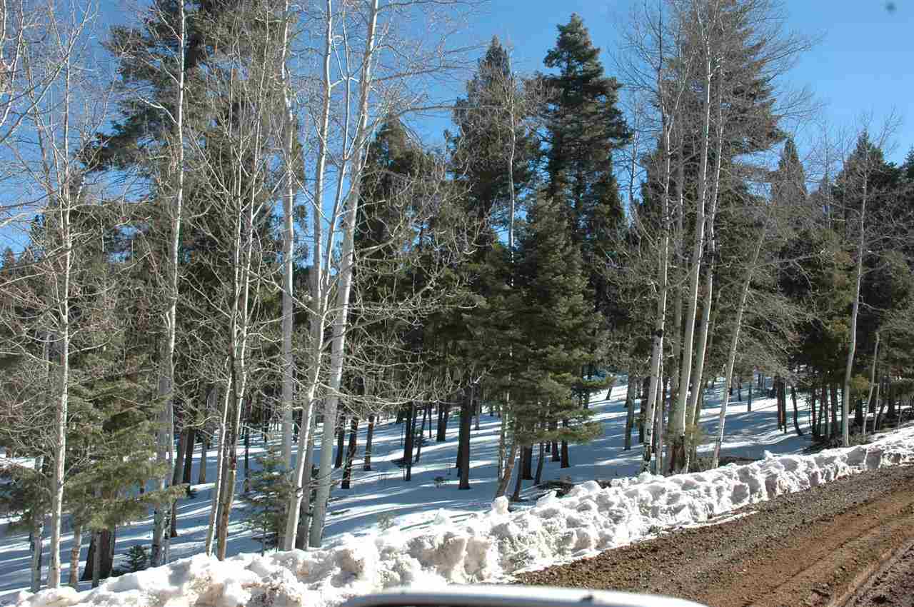 Lot 236 Vista del Valle, Angel Fire, NM 87710