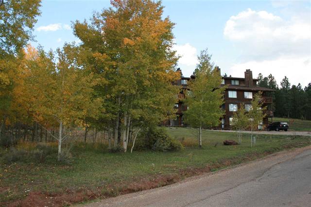 Unit D3 Vail Avenue, Angel Fire, NM 87710