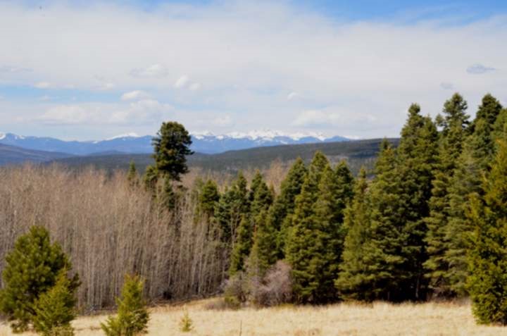 Tract D-2 B-38, Black Lake, NM 87710