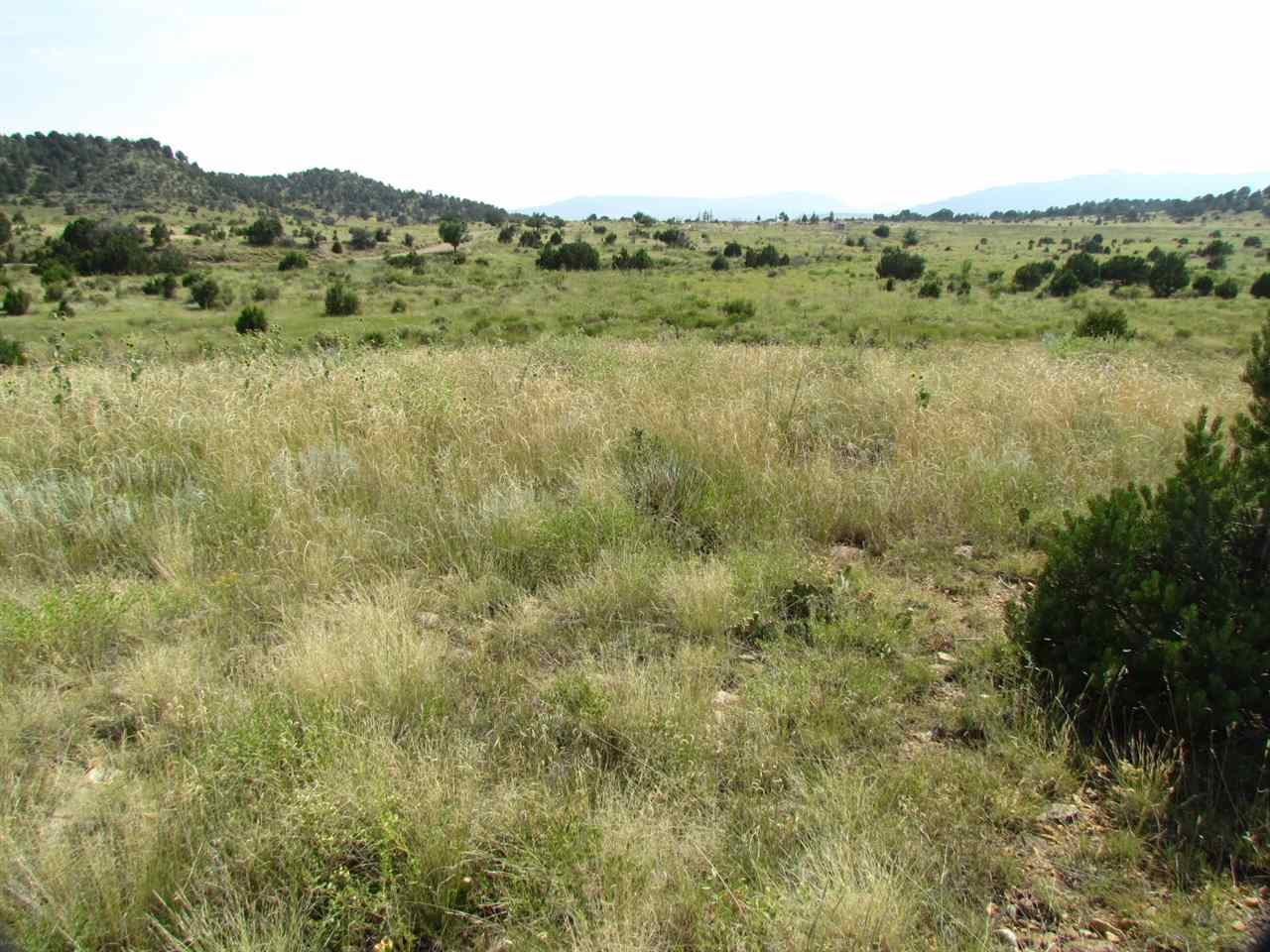 507 W 19th St, Cimarron, NM 87714