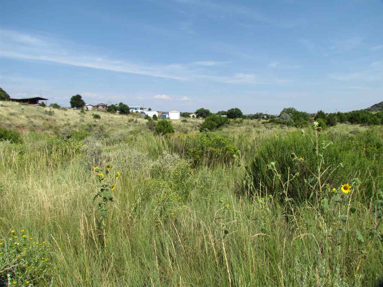 507 W 19th St, Cimarron, NM 87714
