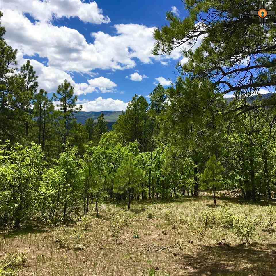Rincon Rd., Guadalupita, NM 87722