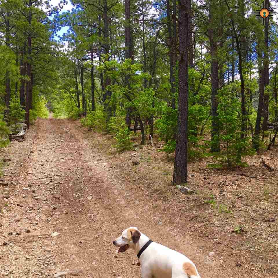 Rincon Rd., Guadalupita, NM 87722
