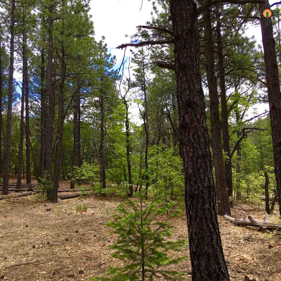 Rincon Rd., Guadalupita, NM 87722