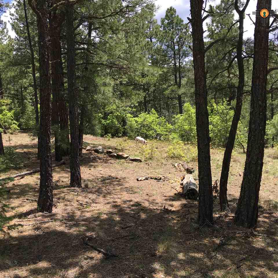 Rincon Rd., Guadalupita, NM 87722