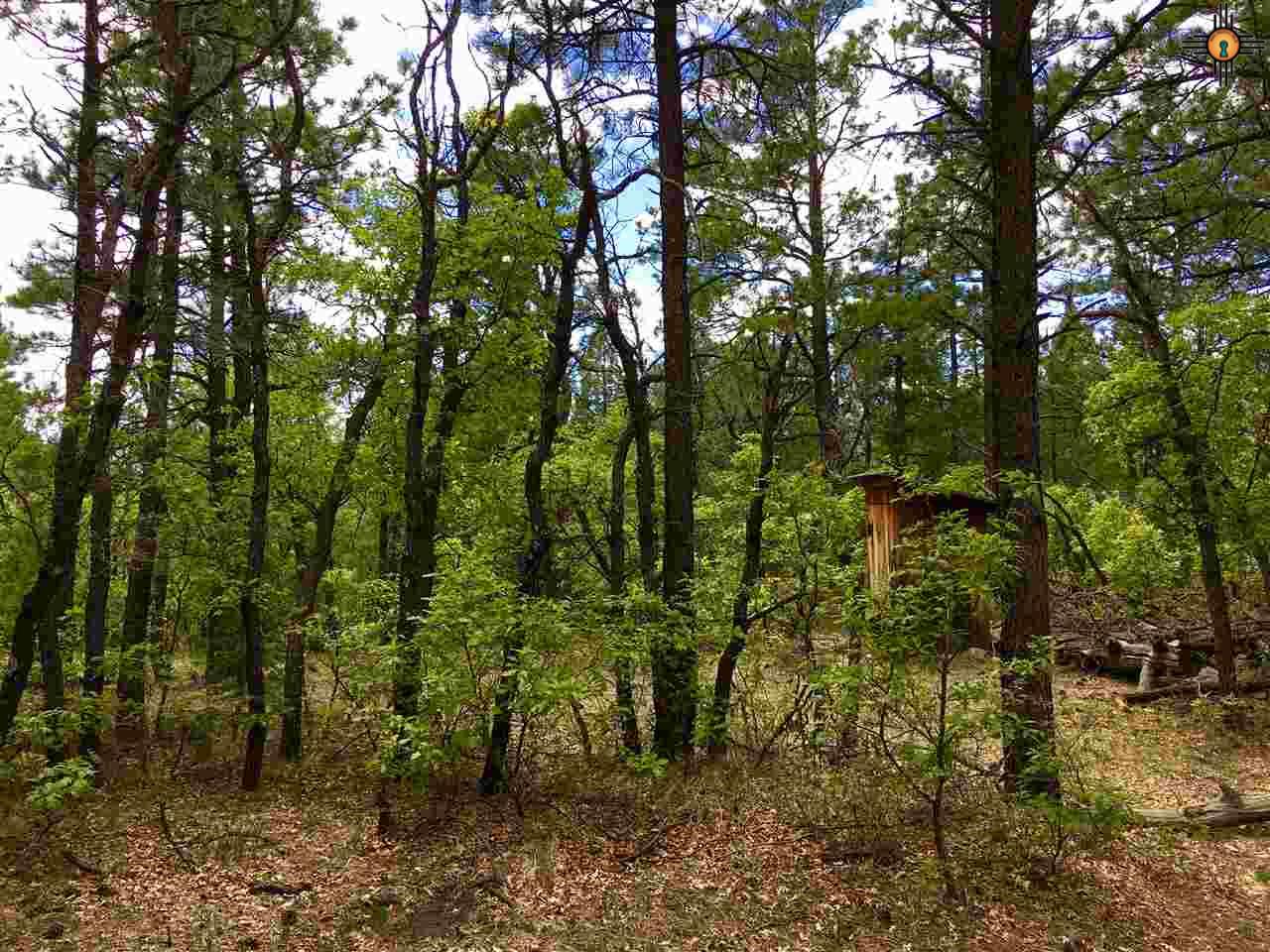 Rincon Rd., Guadalupita, NM 87722