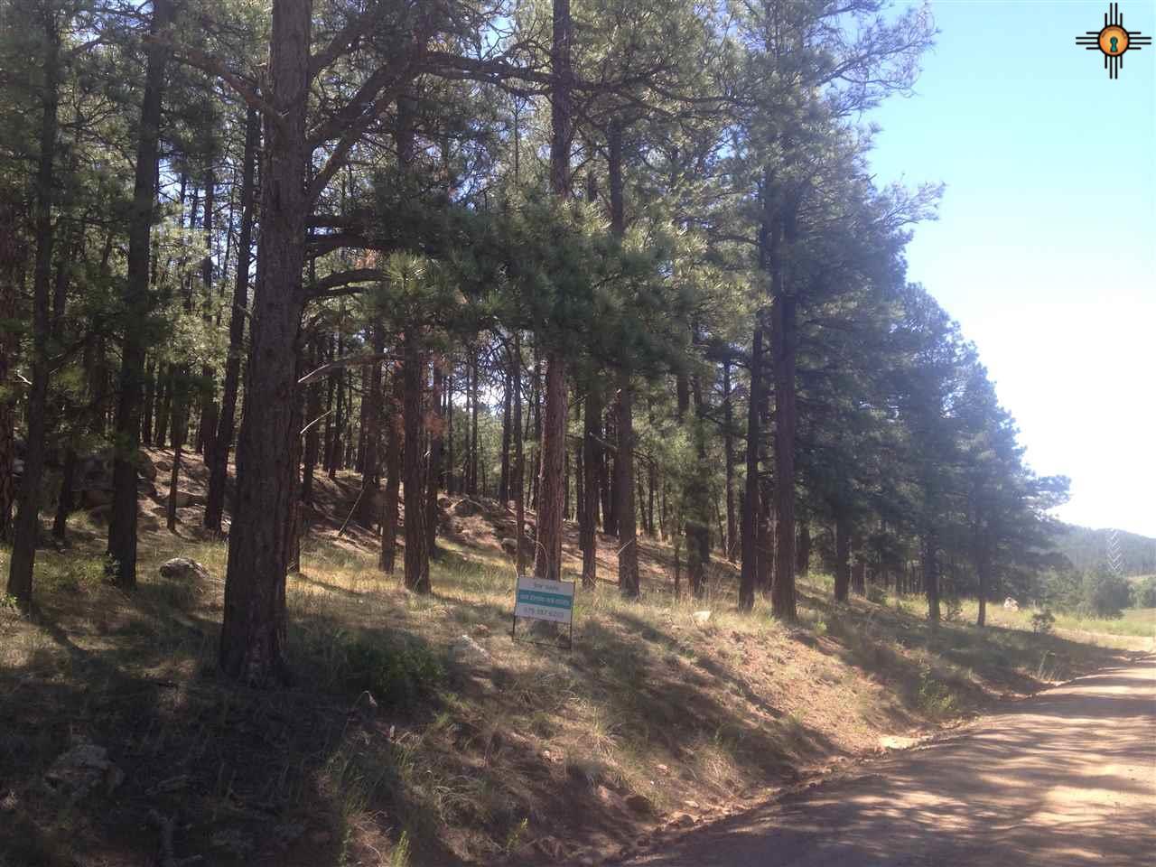 #5 C-001A, Mora, NM 87732