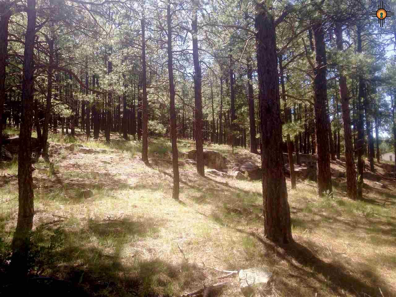 #5 C-001A, Mora, NM 87732