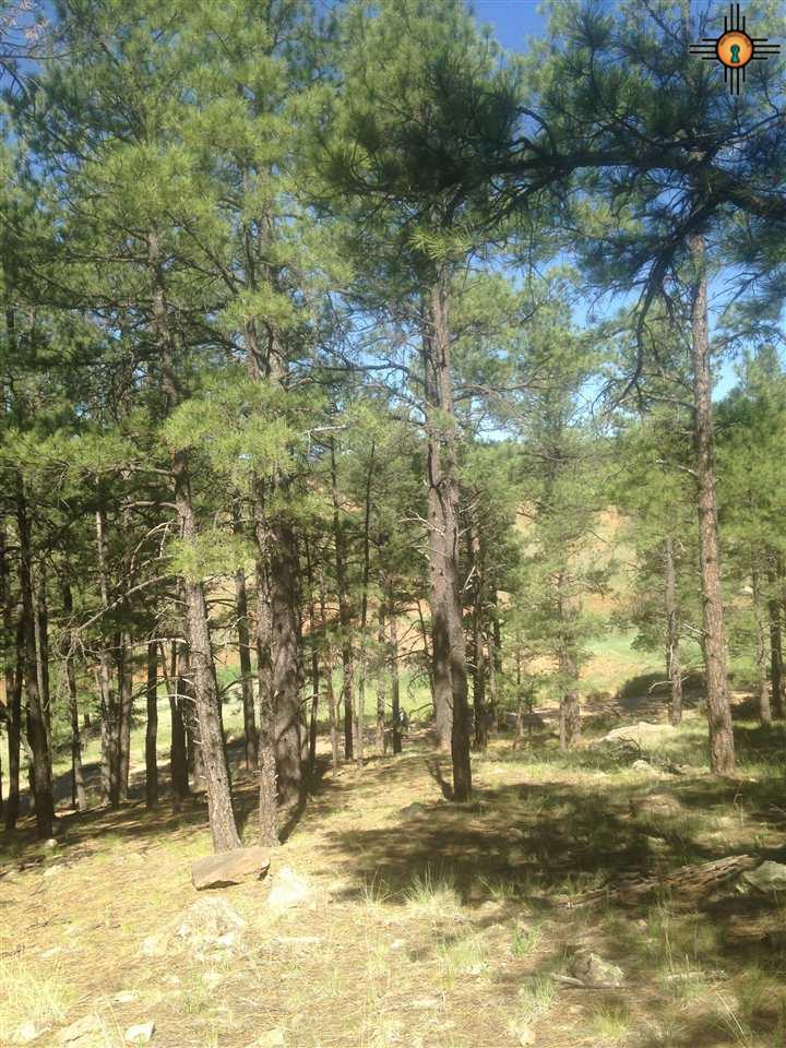 #5 C-001A, Mora, NM 87732