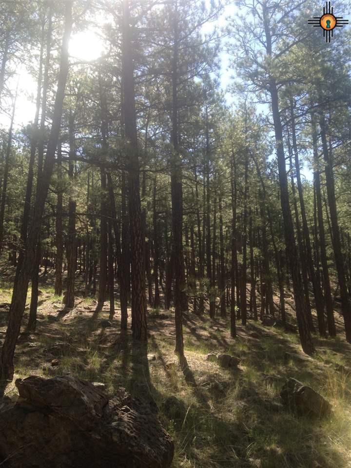 #5 C-001A, Mora, NM 87732