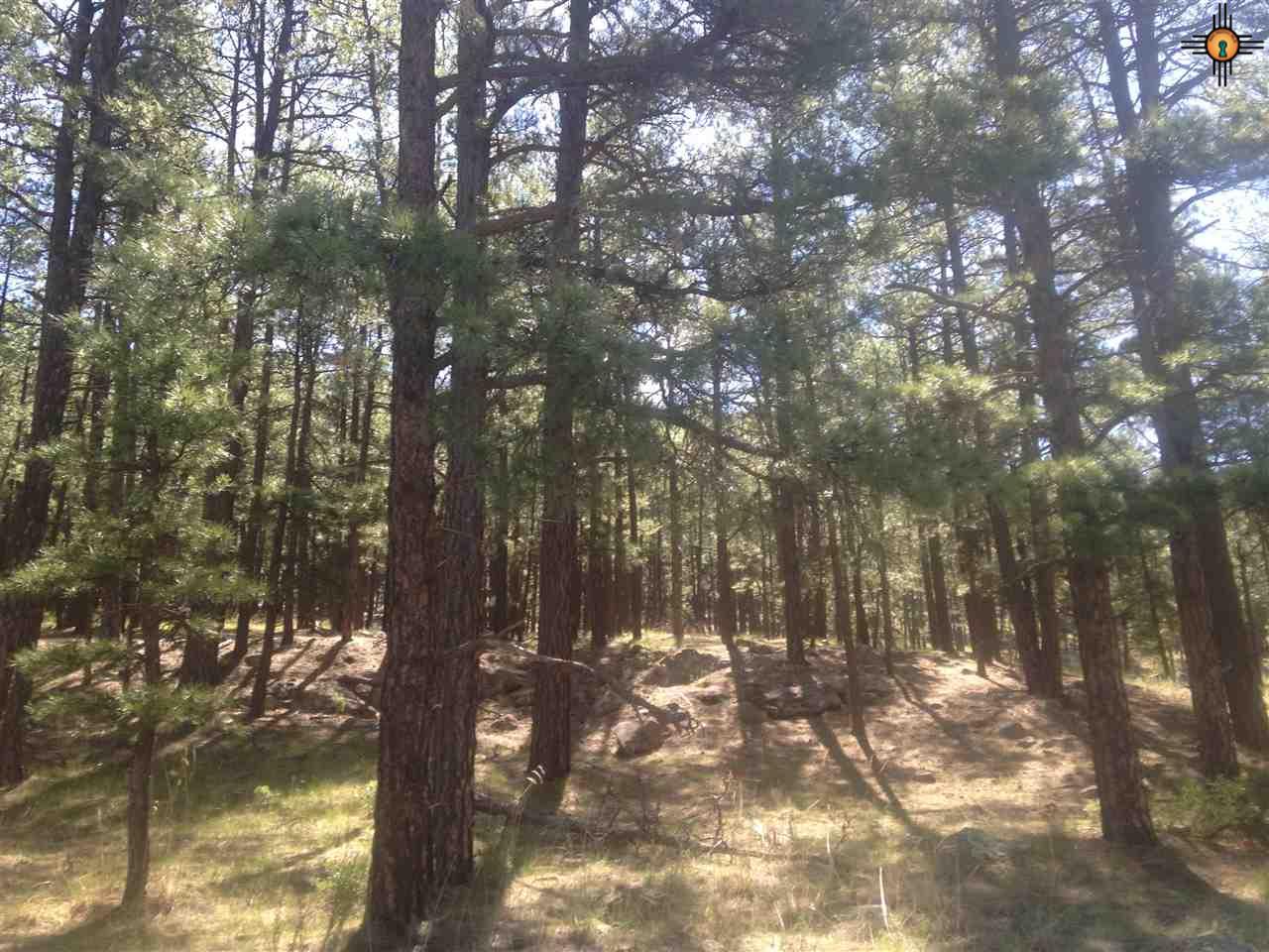 #5 C-001A, Mora, NM 87732