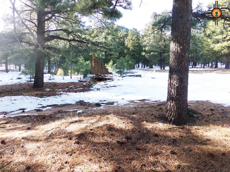 near El Aguila, Mora, NM 87732