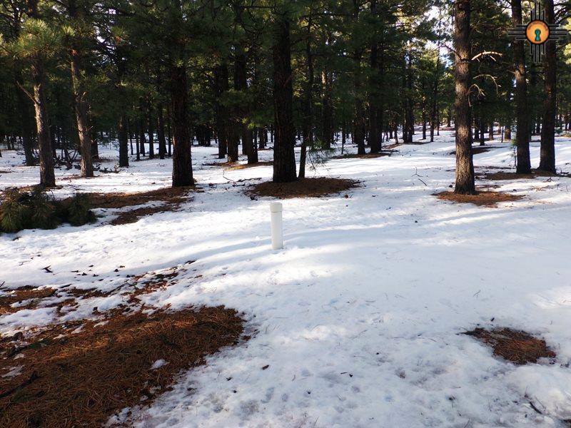 near El Aguila, Mora, NM 87732
