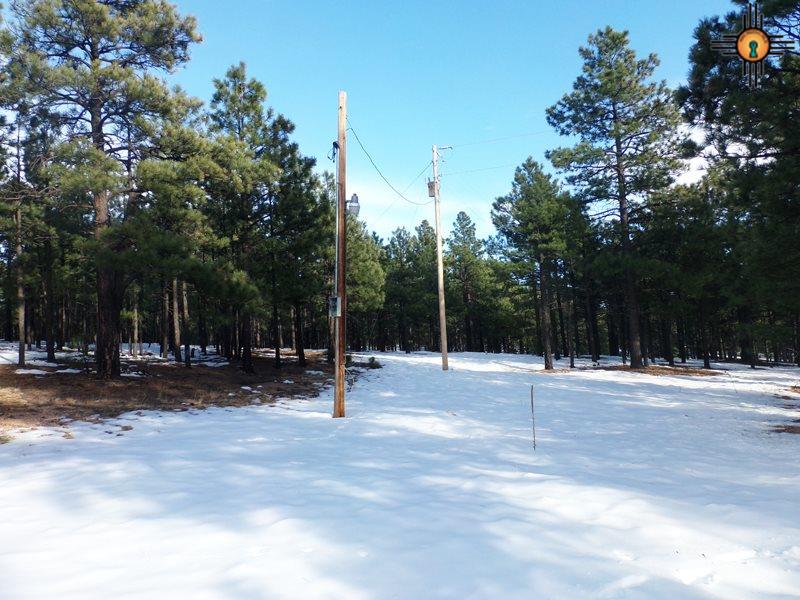 near El Aguila, Mora, NM 87732