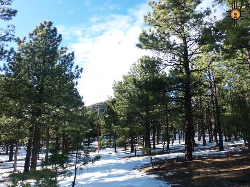 near El Aguila, Mora, NM 87732