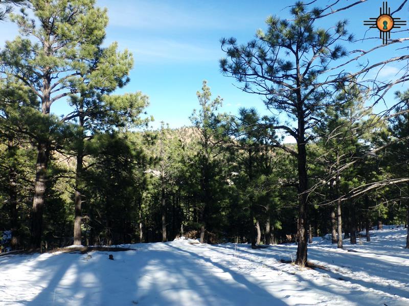near El Aguila, Mora, NM 87732