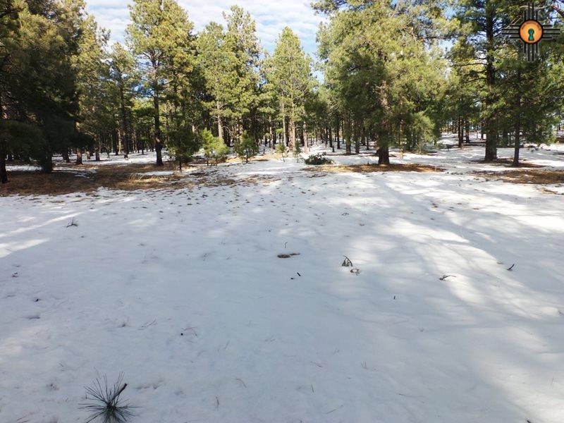 near El Aguila, Mora, NM 87732
