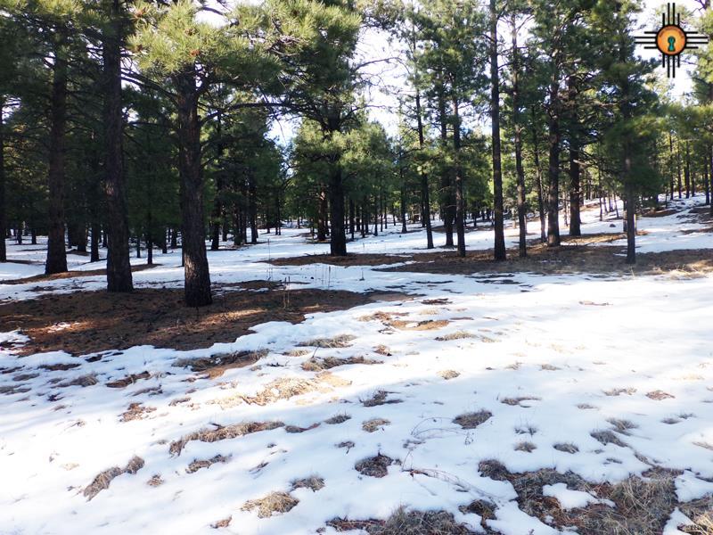near El Aguila, Mora, NM 87732