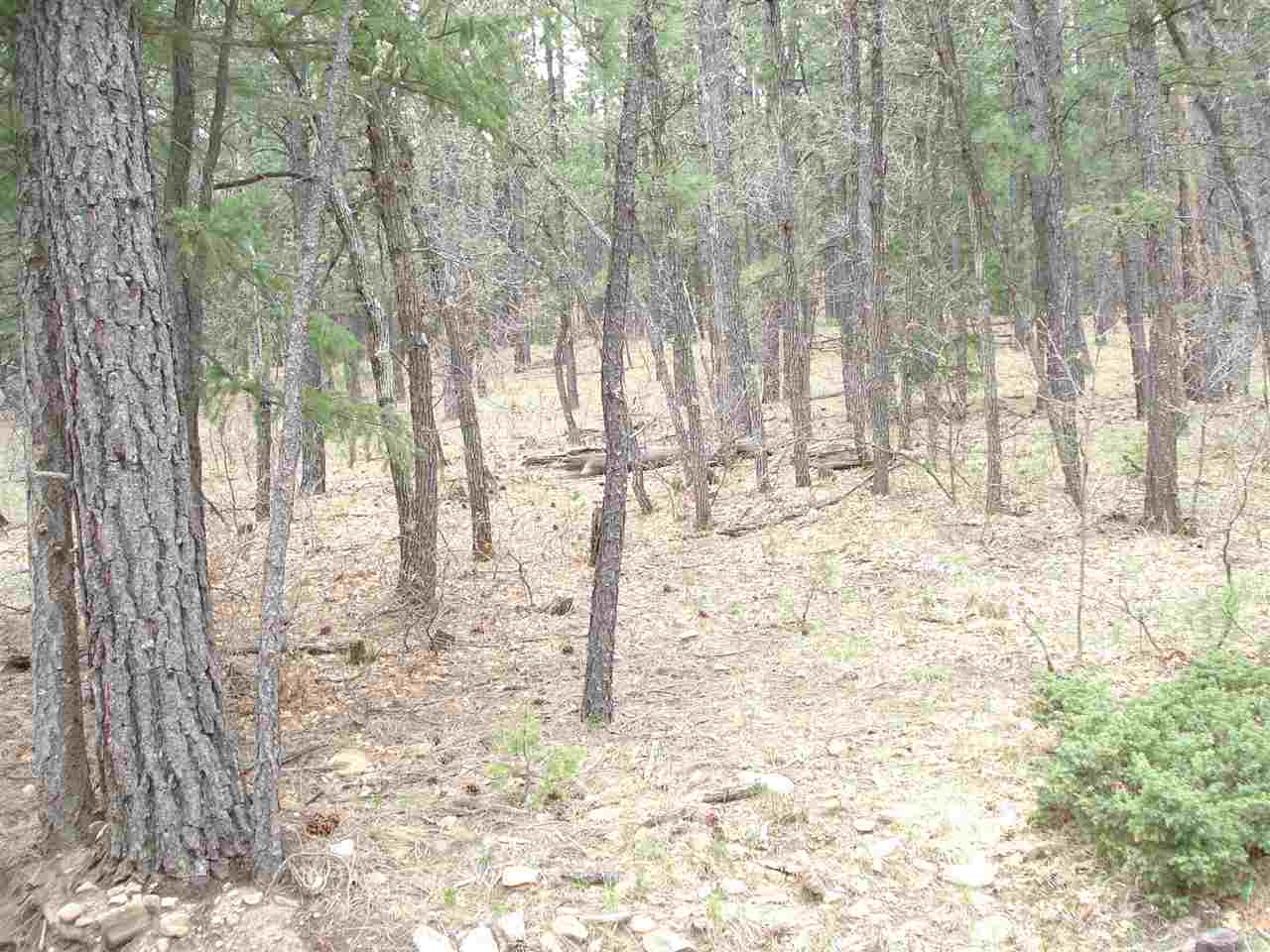 24 Rincon Road, Sierra Bonita, NM 87732