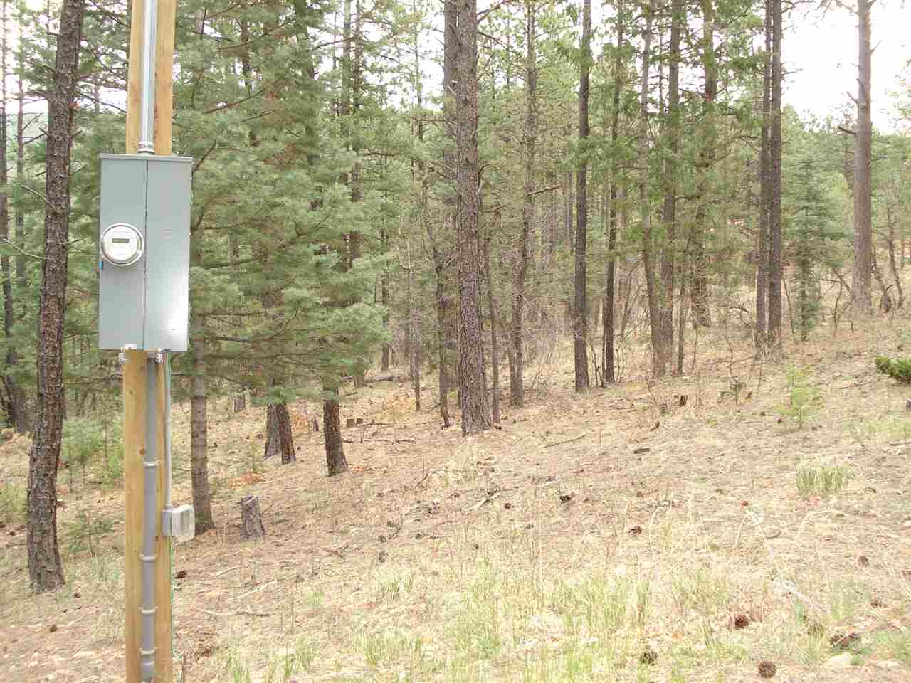 24 Rincon Road, Sierra Bonita, NM 87732