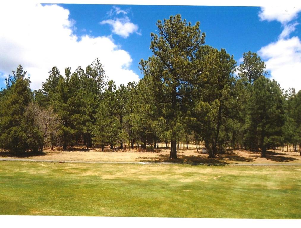 0 Calle Retiro, Rociada, NM 87742
