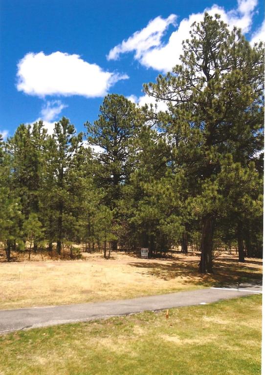 0 Calle Retiro, Rociada, NM 87742