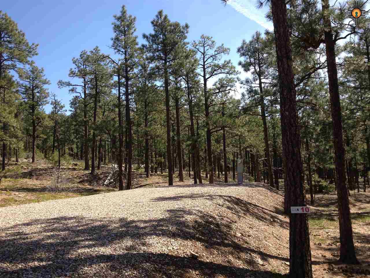 10 HummingbirdDrive, Rociada, NM 87742