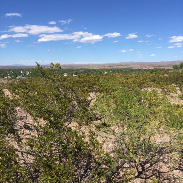 Harry Street, Socorro, NM 87801