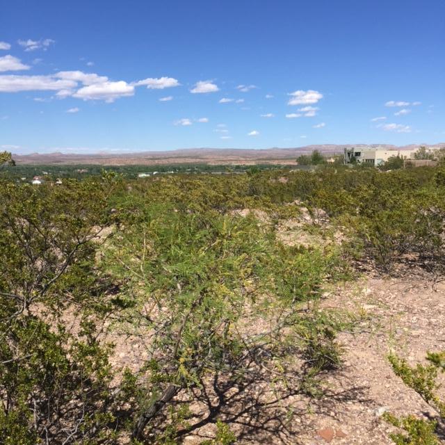 Harry Street, Socorro, NM 87801