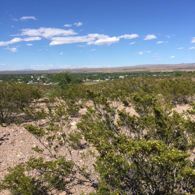 Harry Street, Socorro, NM 87801