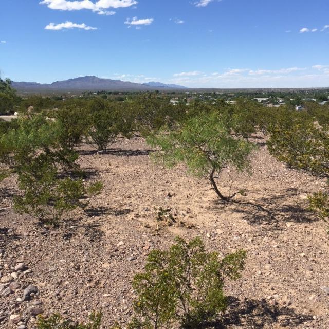 Harry Street, Socorro, NM 87801