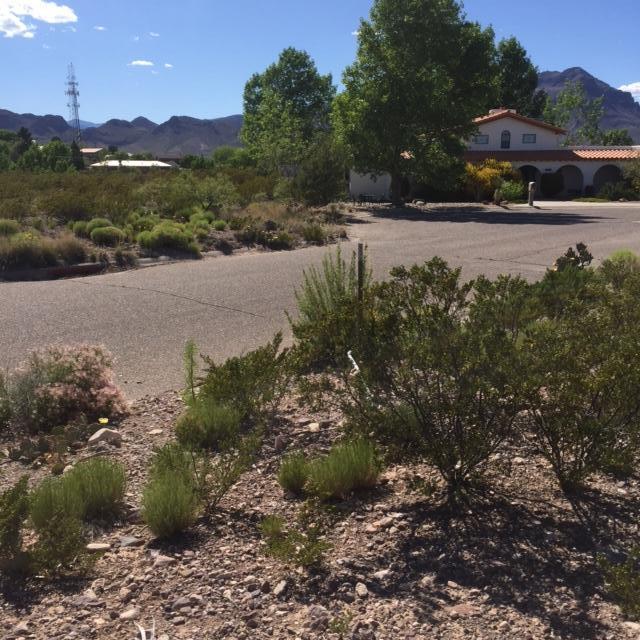 Harry Street, Socorro, NM 87801